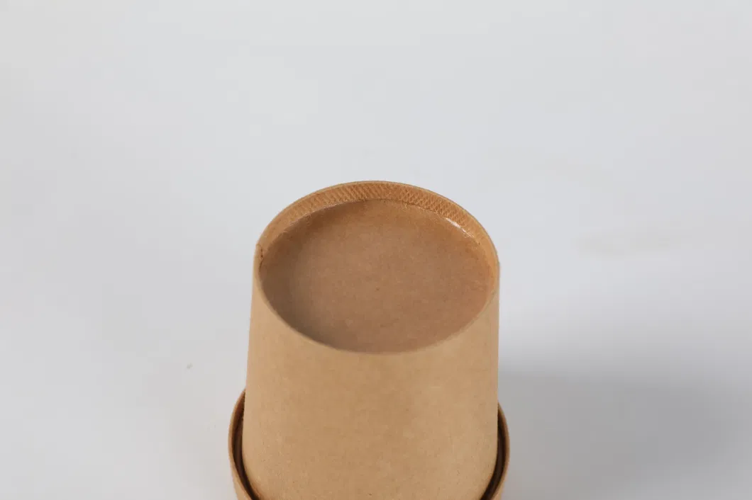 Wholesale Recyclable Custom Size Kraft Paper Soup Cup